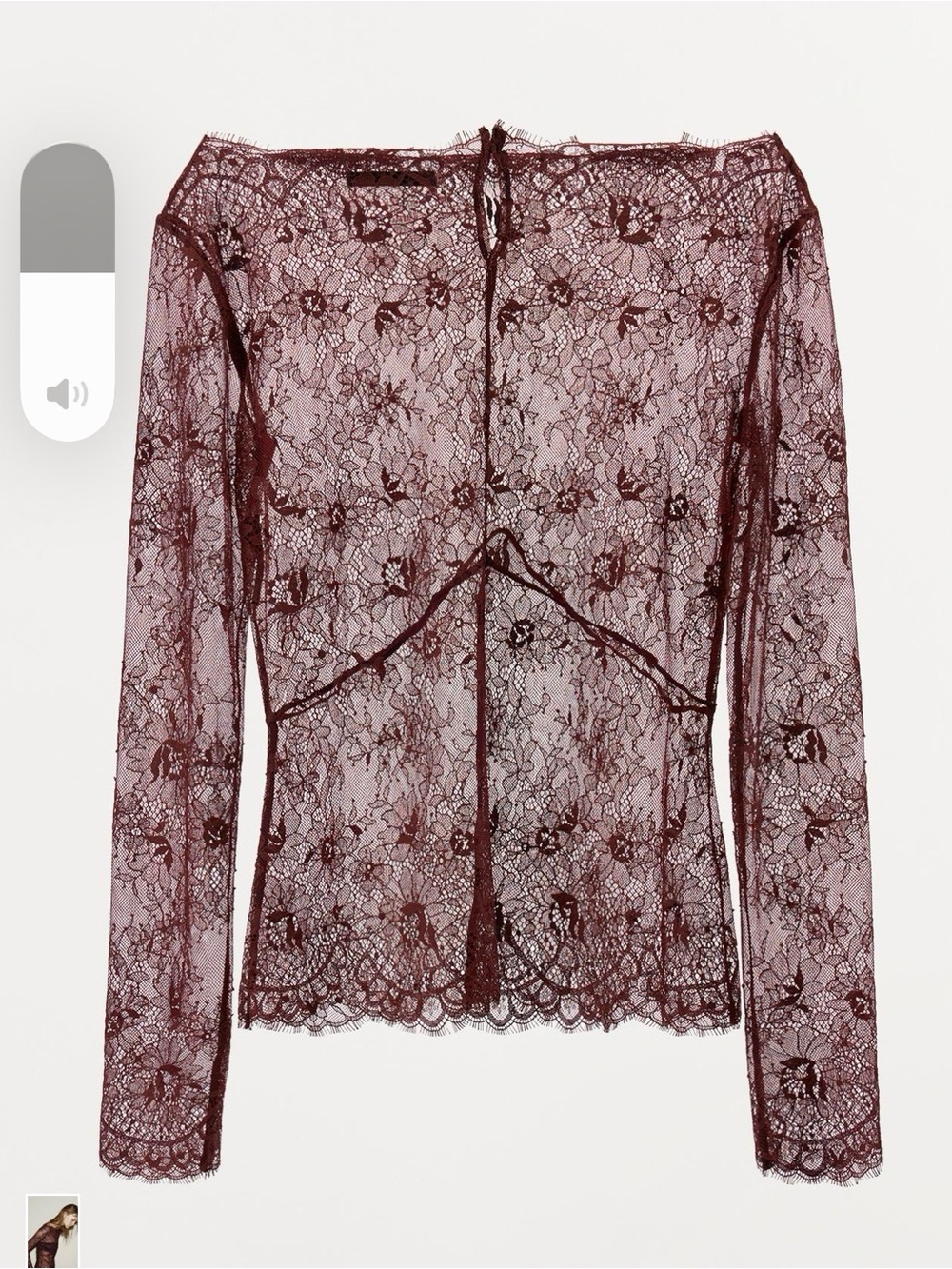Zara Semi Sheer Floral Lace Long-Sleeve - Picture 3 of 4